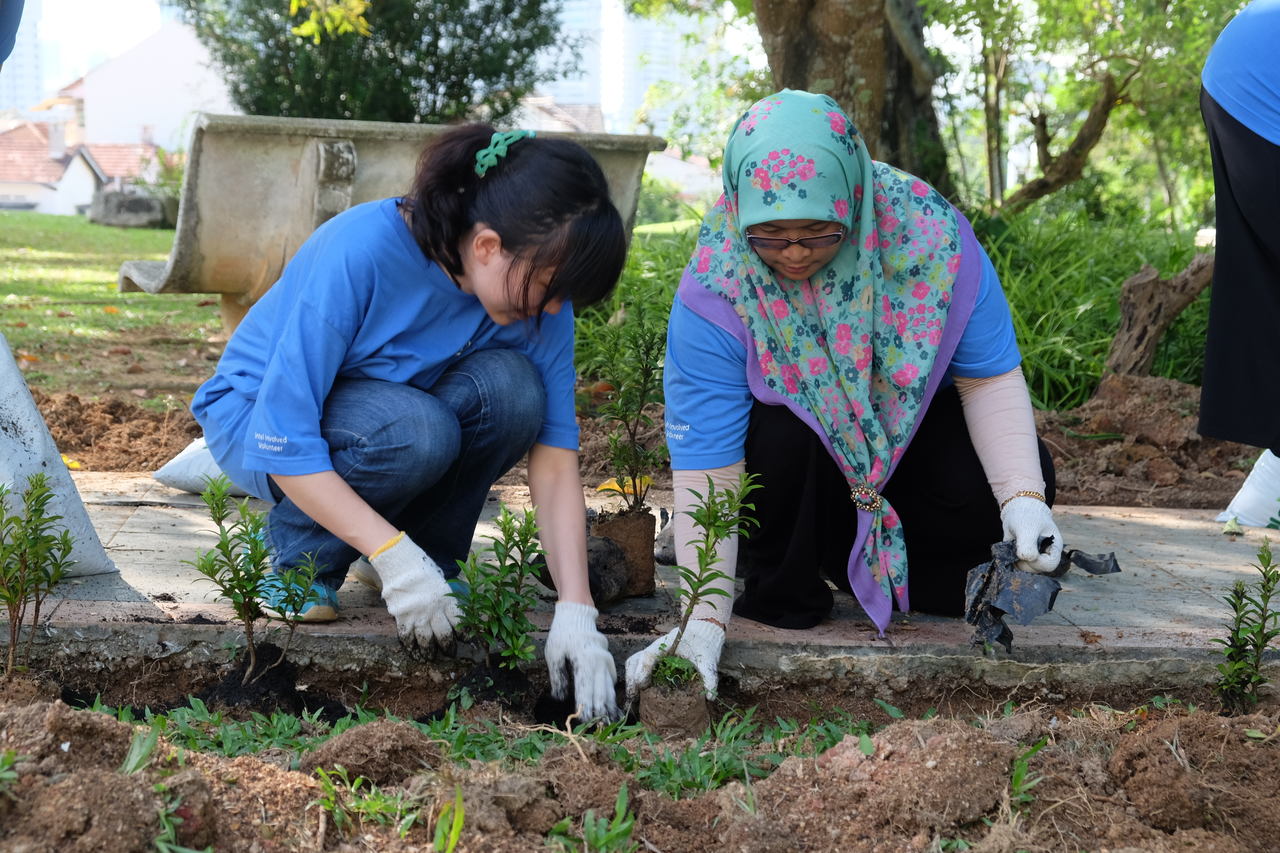 Volunteer work at Mount Miriam Cancer Hospital